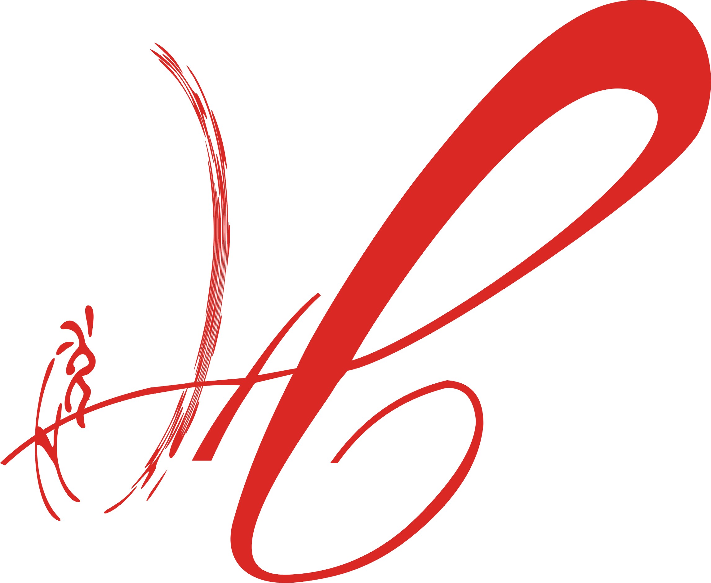 武汉慧觉系统工程有限公司LOGO.jpg